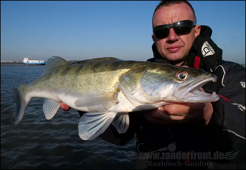 Daiwa tournament 8 braid evo