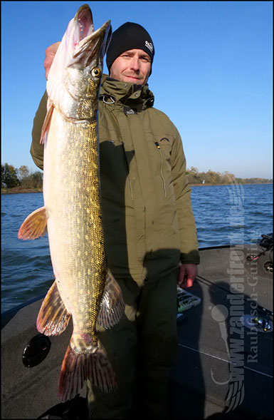 Daiwa tournament 8 braid evo