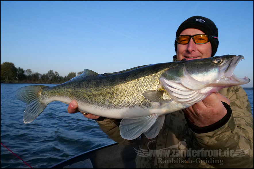 Daiwa tournament 8 braid evo