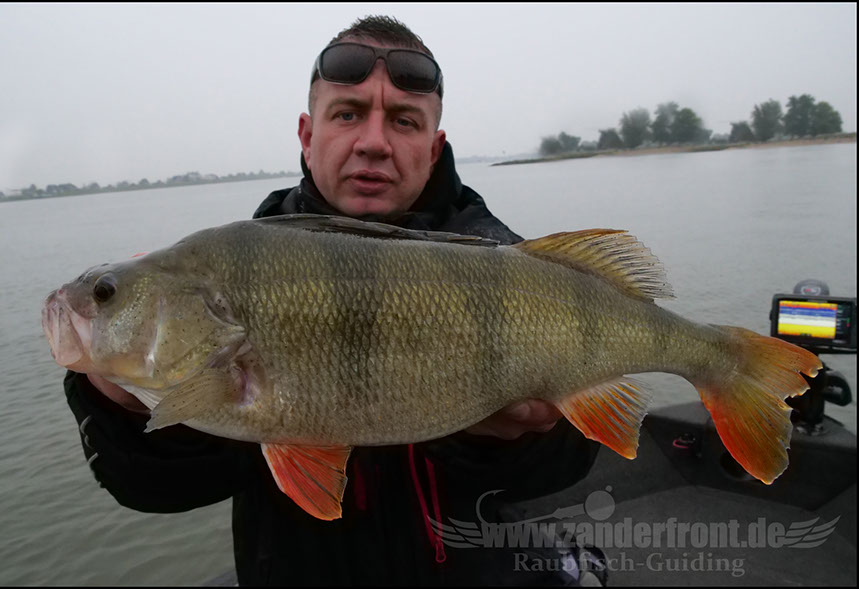 barsch guiding holland