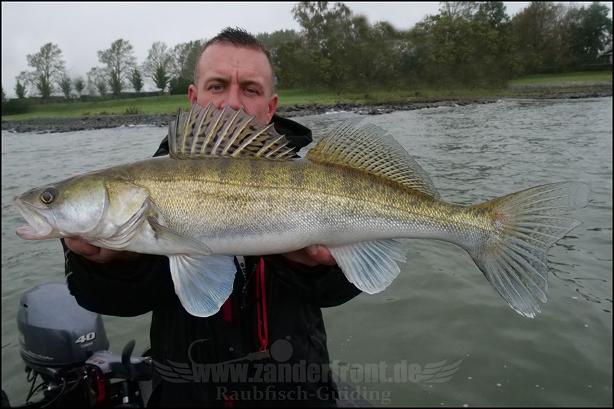 Daiwa tournament 8 braid evo