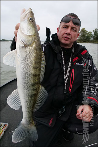 Daiwa tournament 8 braid evo