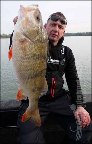 Raubfisch Guiding Holland