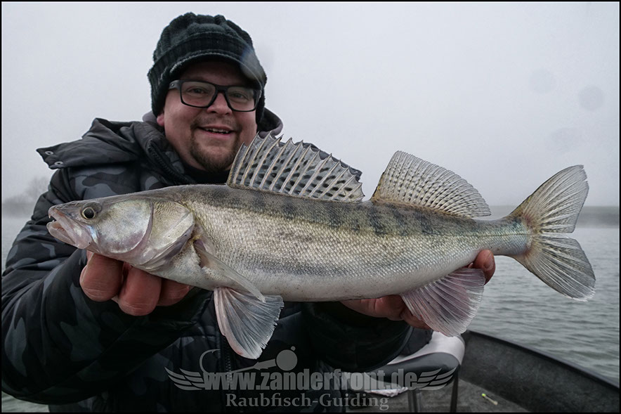 Seika Pro speed shad