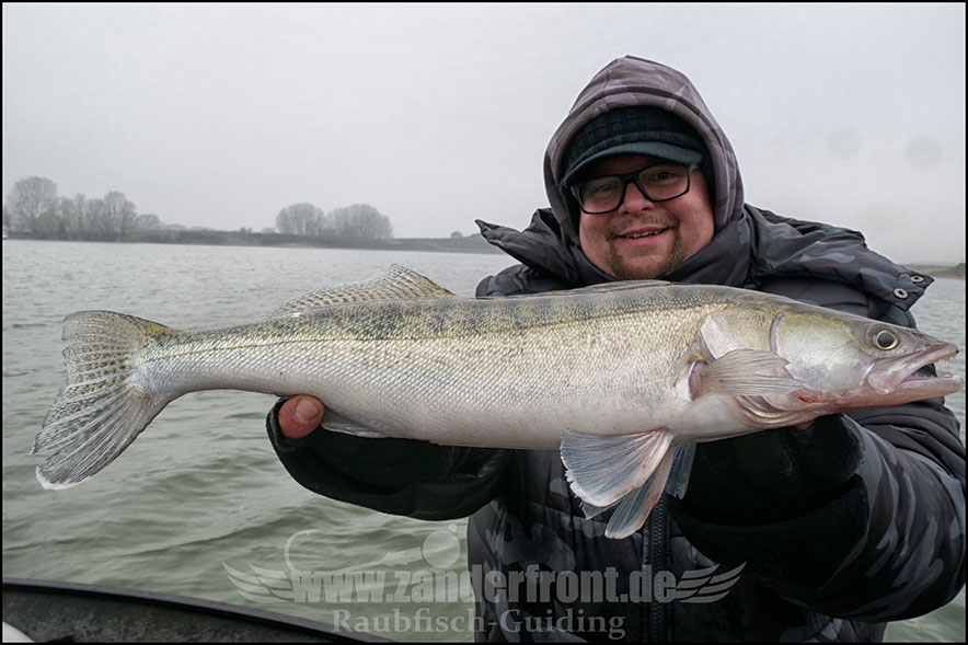 Seika Pro speed shad