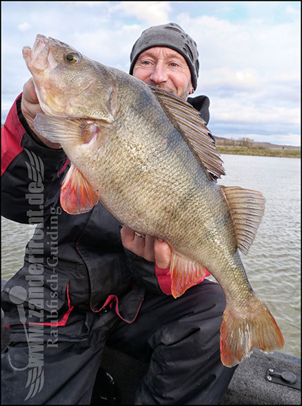 vertikal angeln auf zander