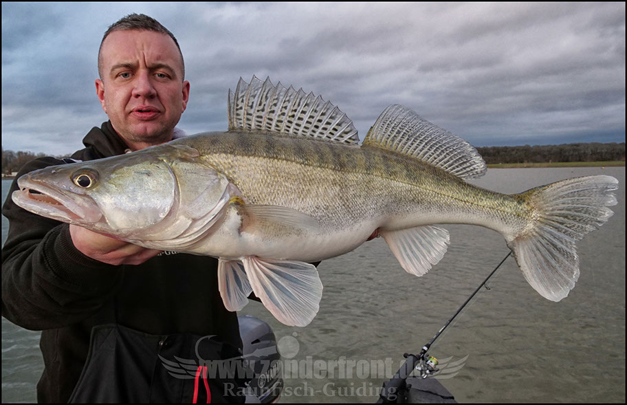vertikal angeln auf zander