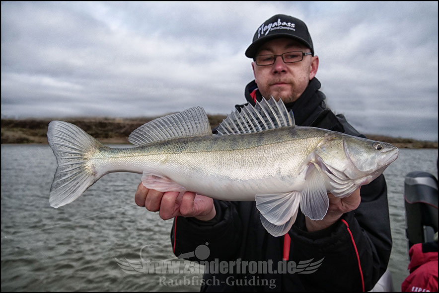 vertikal angeln auf zander