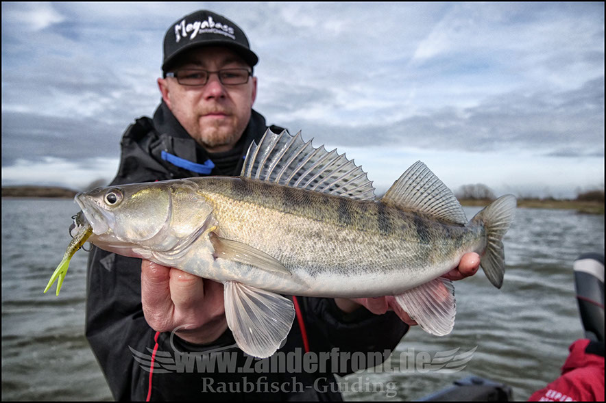 vertikal angeln auf zander