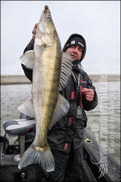 vertikal angeln auf zander