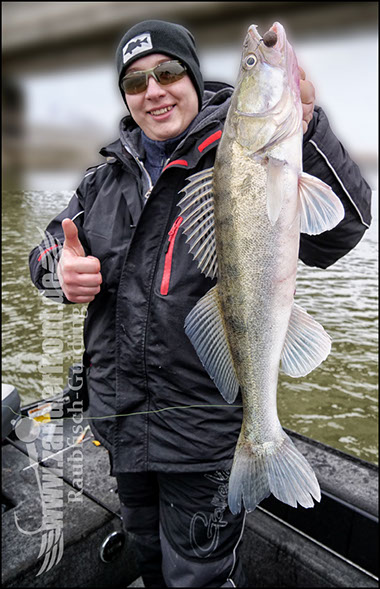 vertikal angeln auf zander