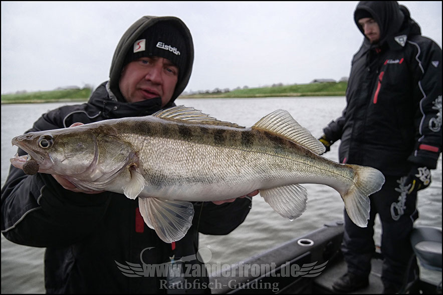 vertikal angeln auf zander
