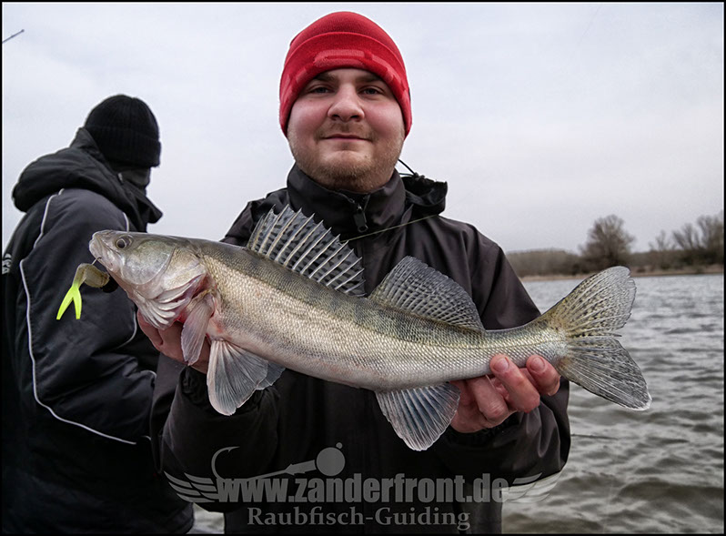 vertikal angeln auf zander