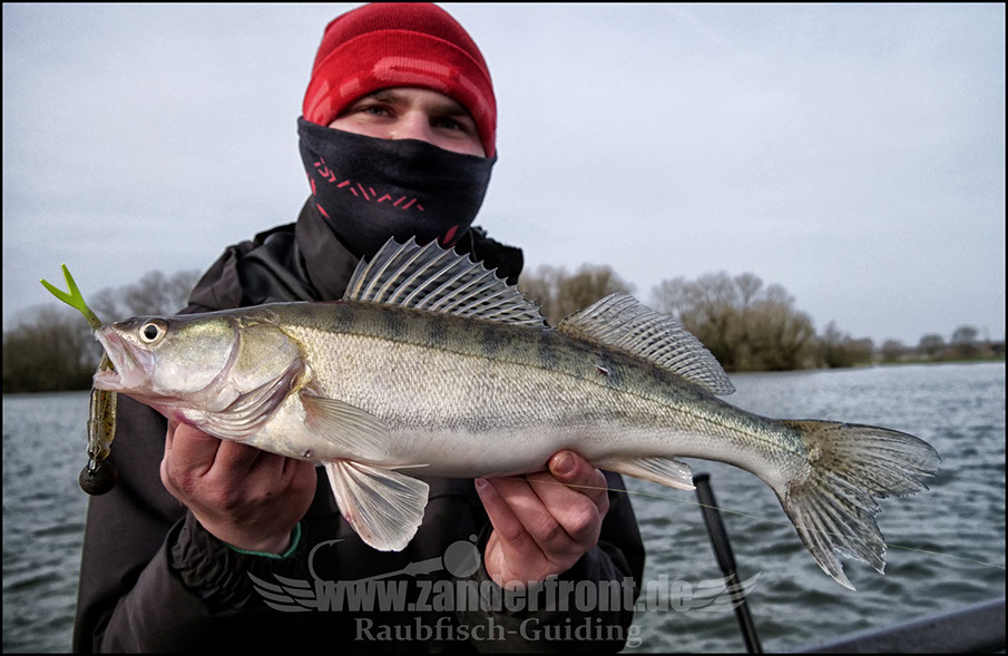 vertikal angeln auf zander