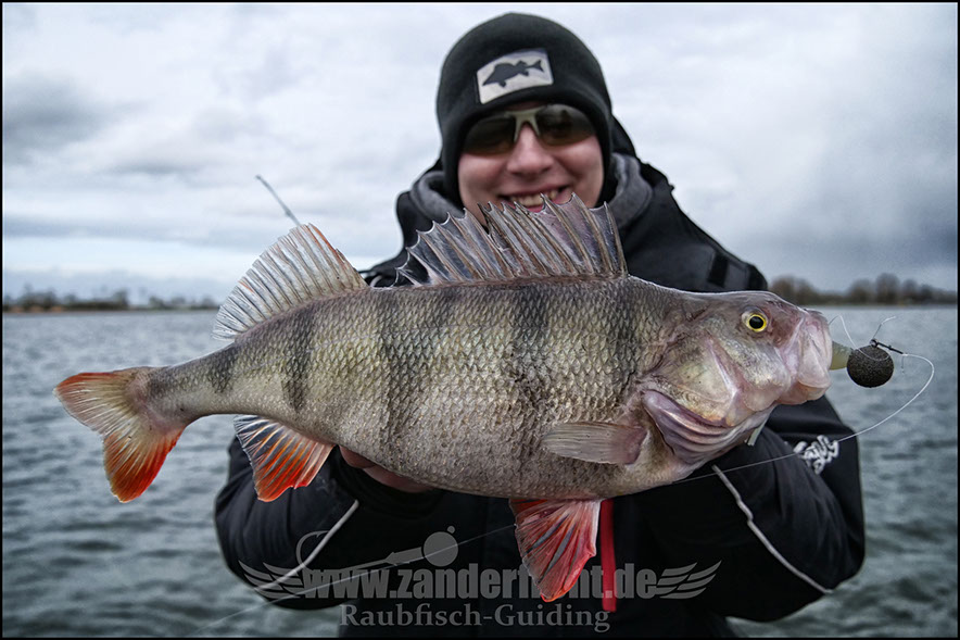 vertikal angeln auf zander