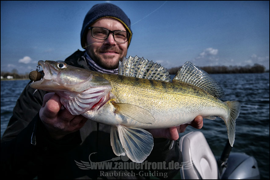 vertikal angeln auf zander
