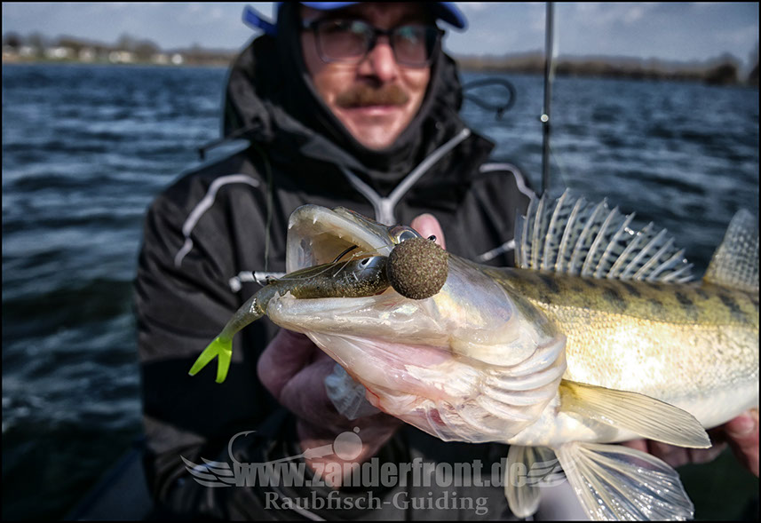 vertikal angeln auf zander