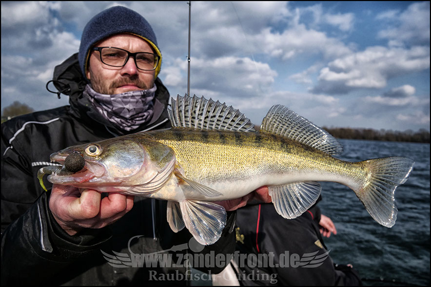 vertikal angeln auf zander