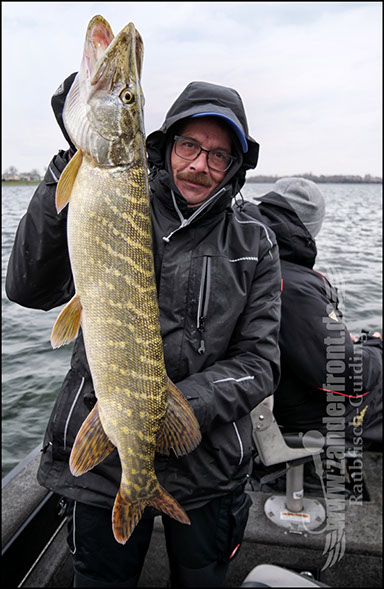 vertikal angeln auf zander