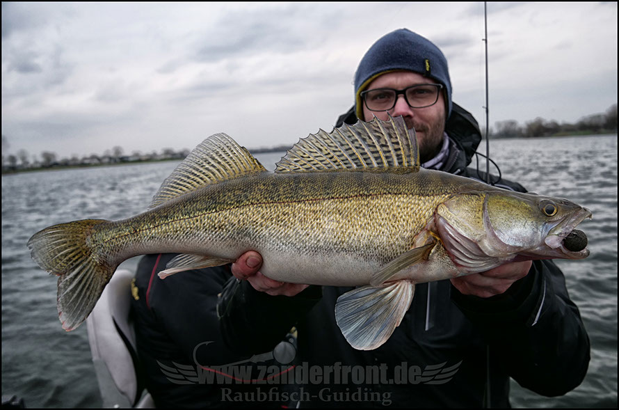 vertikal angeln auf zander