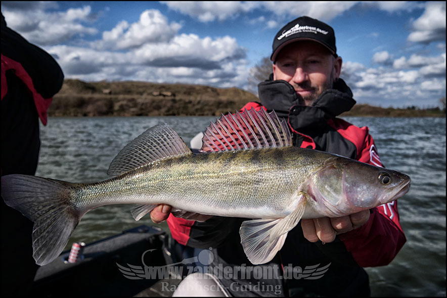 vertikal angeln auf zander