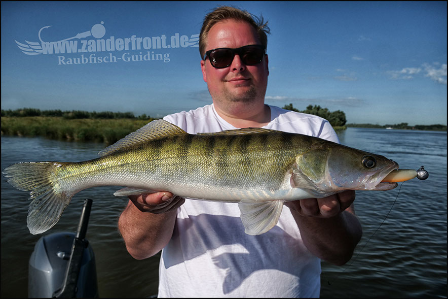 vertikal angeln auf zander
