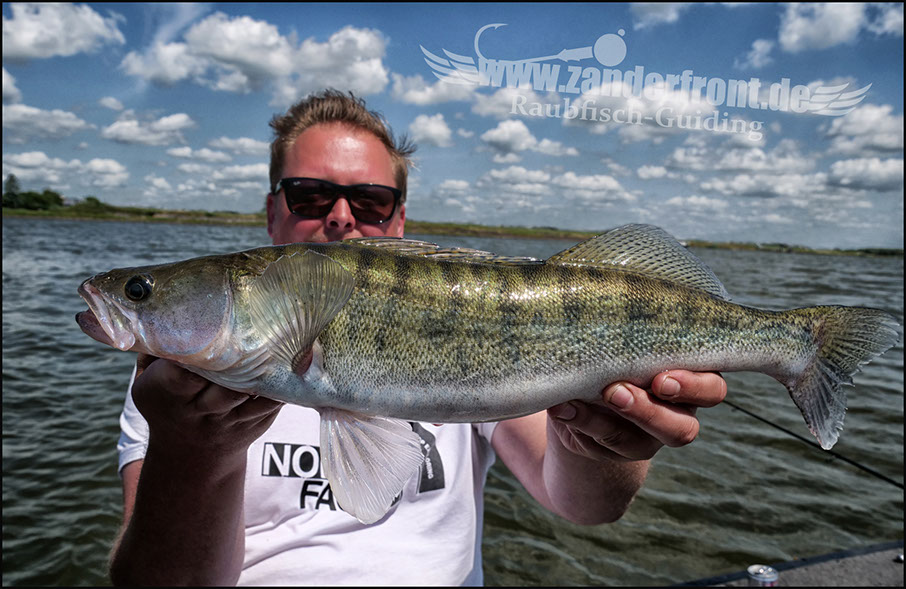 vertikal angeln auf zander