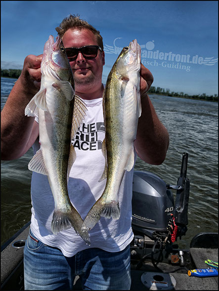 vertikal angeln auf zander