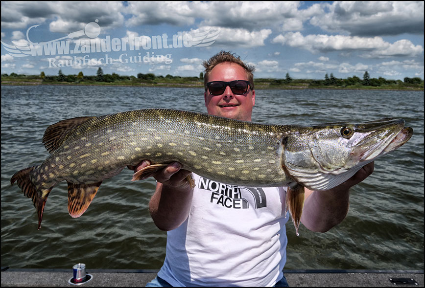 vertikal angeln auf zander