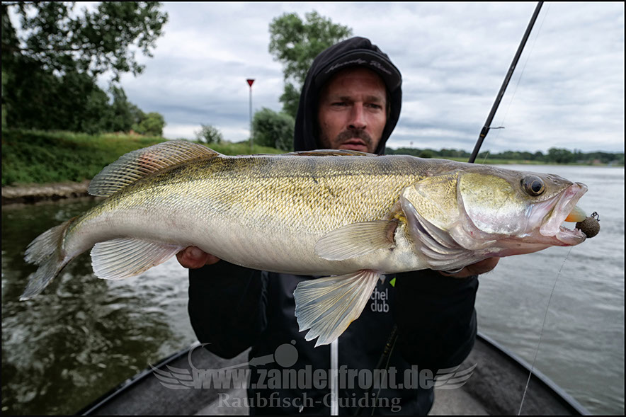 vertikal angeln auf zander