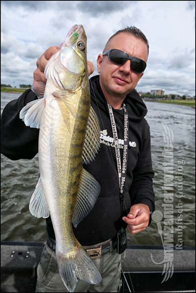 vertikal angeln auf zander