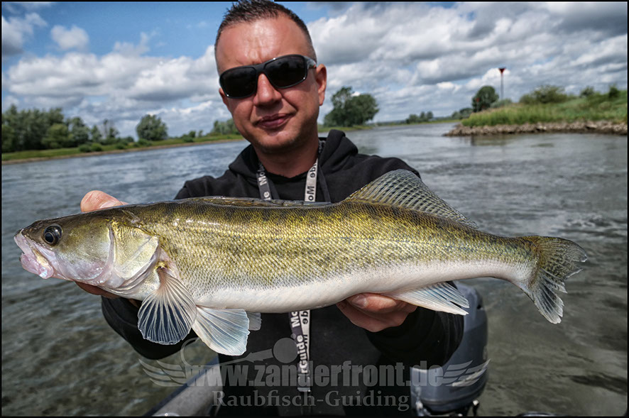 vertikal angeln auf zander