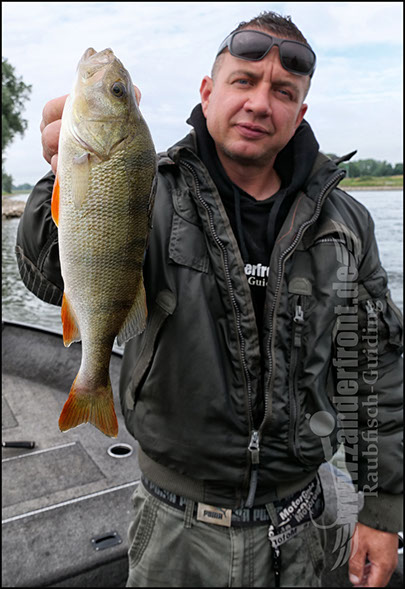 vertikal angeln auf zander