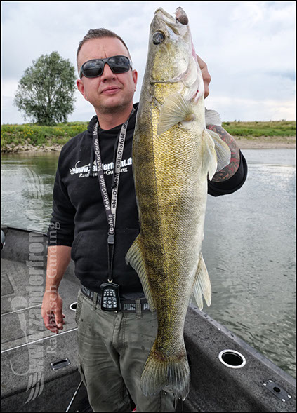 vertikal angeln auf zander