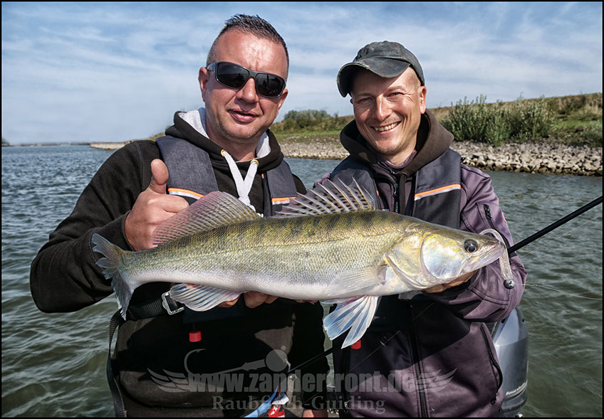 Zanderfront ft. Zanderkant