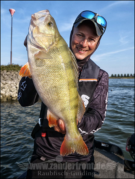 Zanderfront Zanderkant