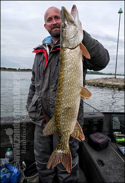 Bullseye jig whip 2.0