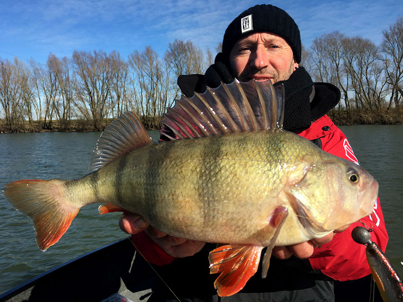 Savage Gear 3D Bleak